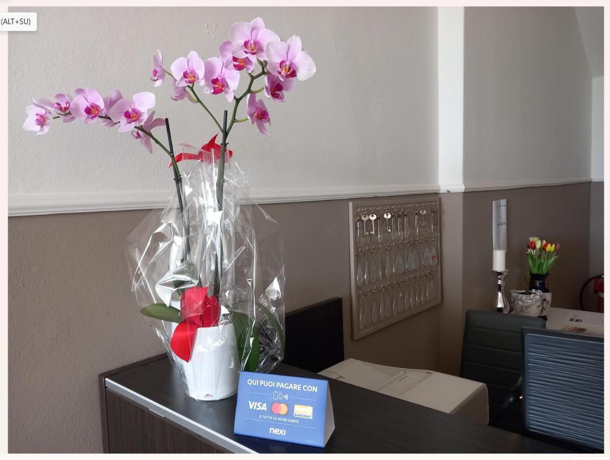 Il Castello Di Venere Hotel Rota d'Imagna Eksteriør billede